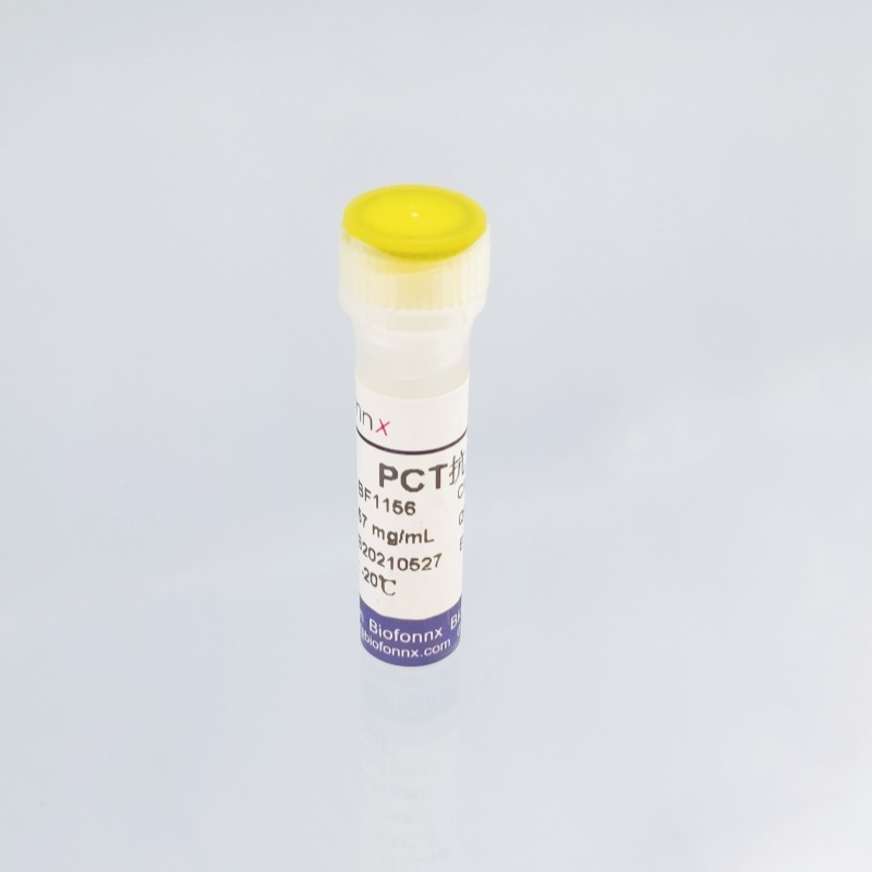 降钙素原 Procalcitonin