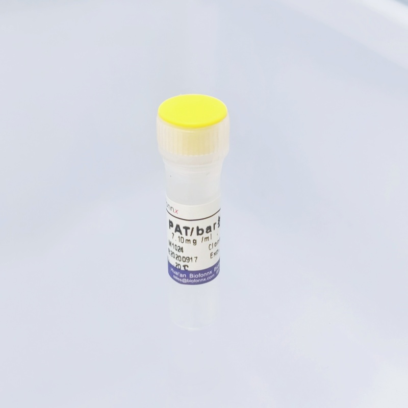 抗草铵膦 PAT/bar