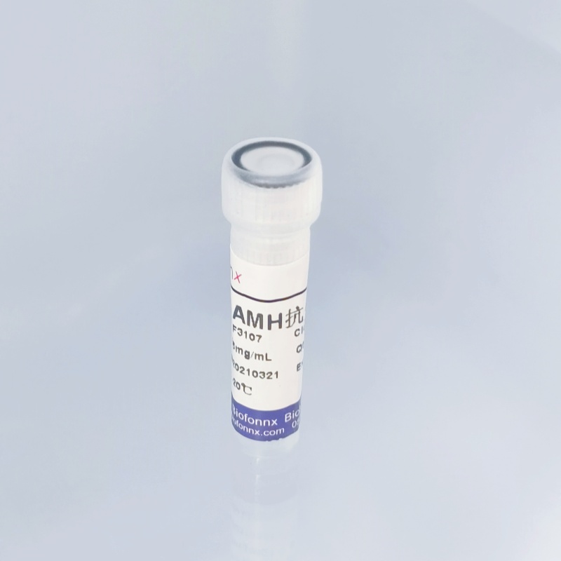 抗缪勒氏管激素 Anti-Mullerian Hormone