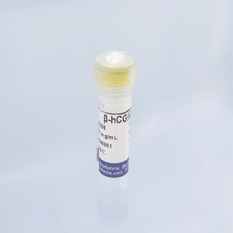 β-人绒毛膜促性腺激素 β-hCG