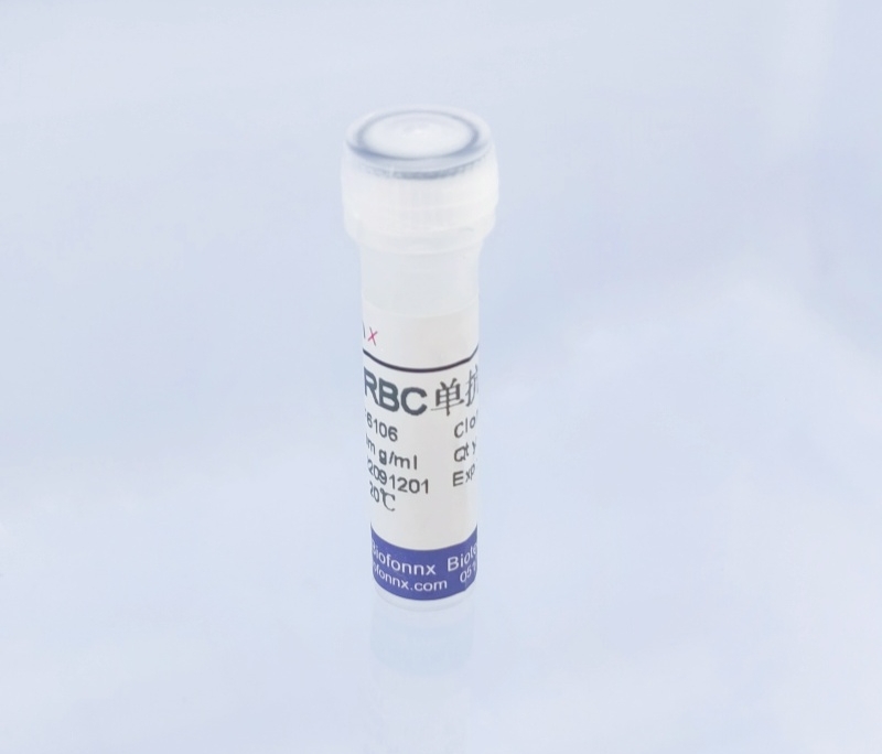 人红细胞 RBC