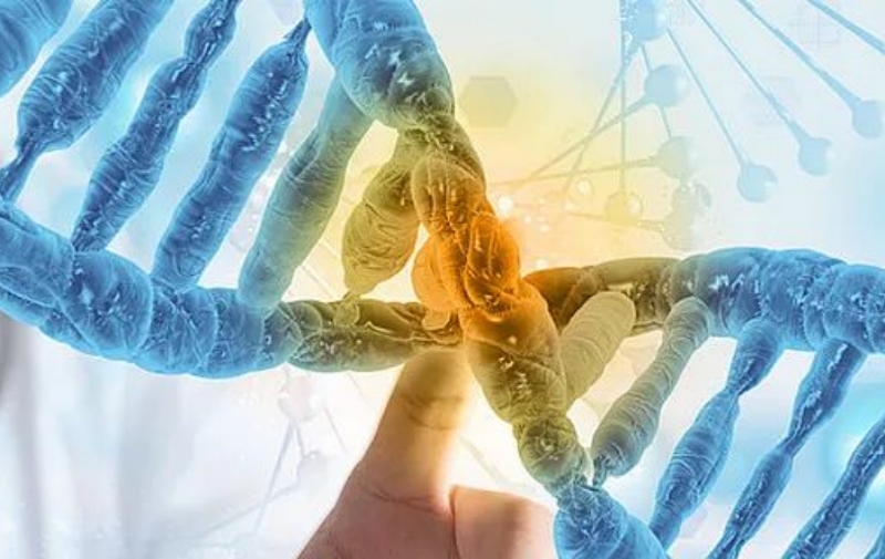 全面解读白蛋白(mAIb)