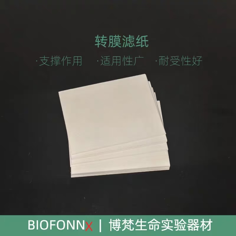 转膜滤纸