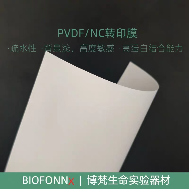 PVDF/NC转印膜