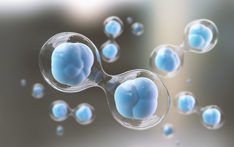 独立C线：提升免疫层析项目检测效果的关键