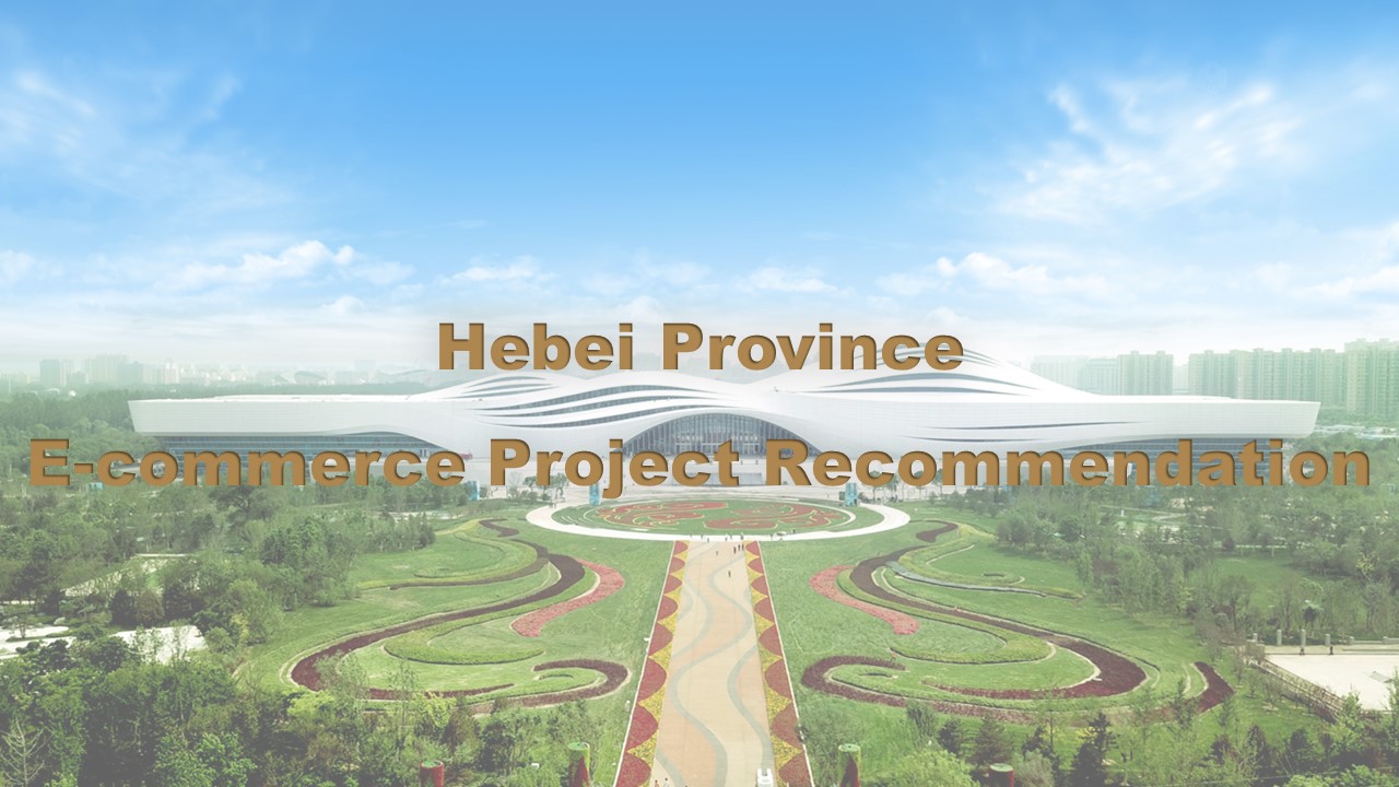 Hebei Province E-commerce Project Recommendation