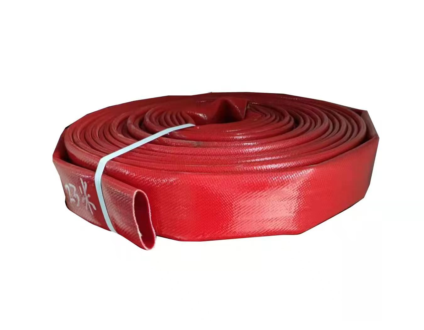 ? The King of Elasticity: How can one Tree support modern civilization? ?