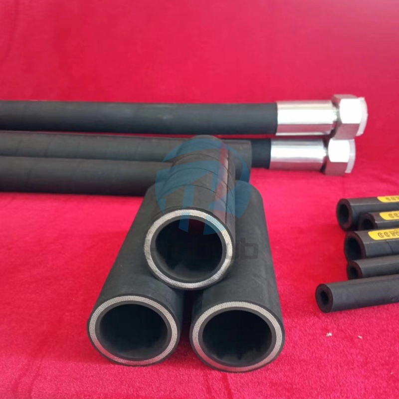 Do Birds Attack Rubber Hoses? The Hidden Survival Wisdom Behind It