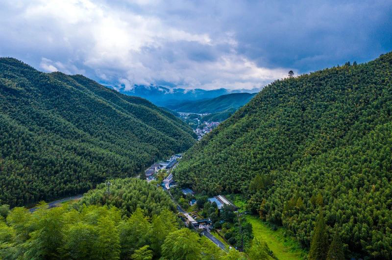 竹境竹文化活动 助推竹乡高质量发展