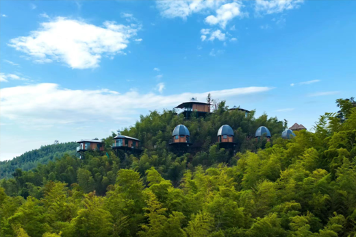 最终奖项发布｜第二届“桃花江杯”竹产品创新设计大赛