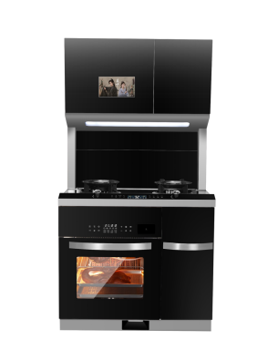 1306B集成烹饪中心