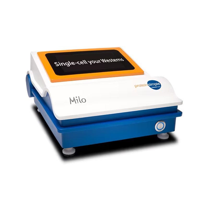 Single Cell Western Blot