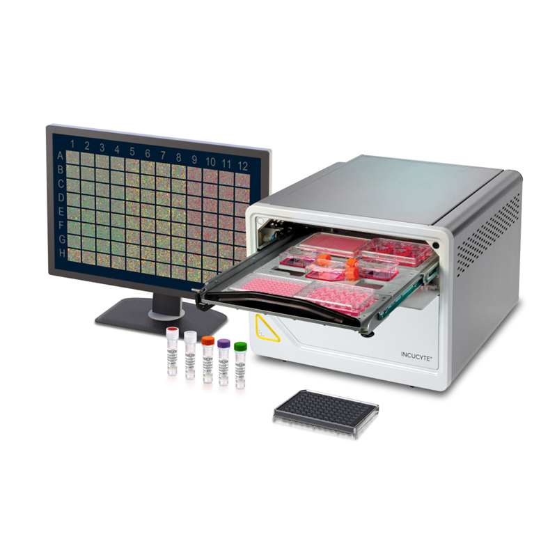 Live Cell Imaging System