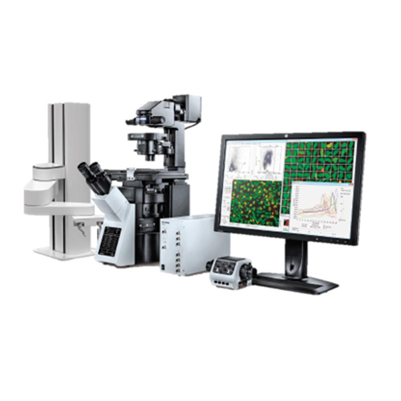 Confocal Microscope