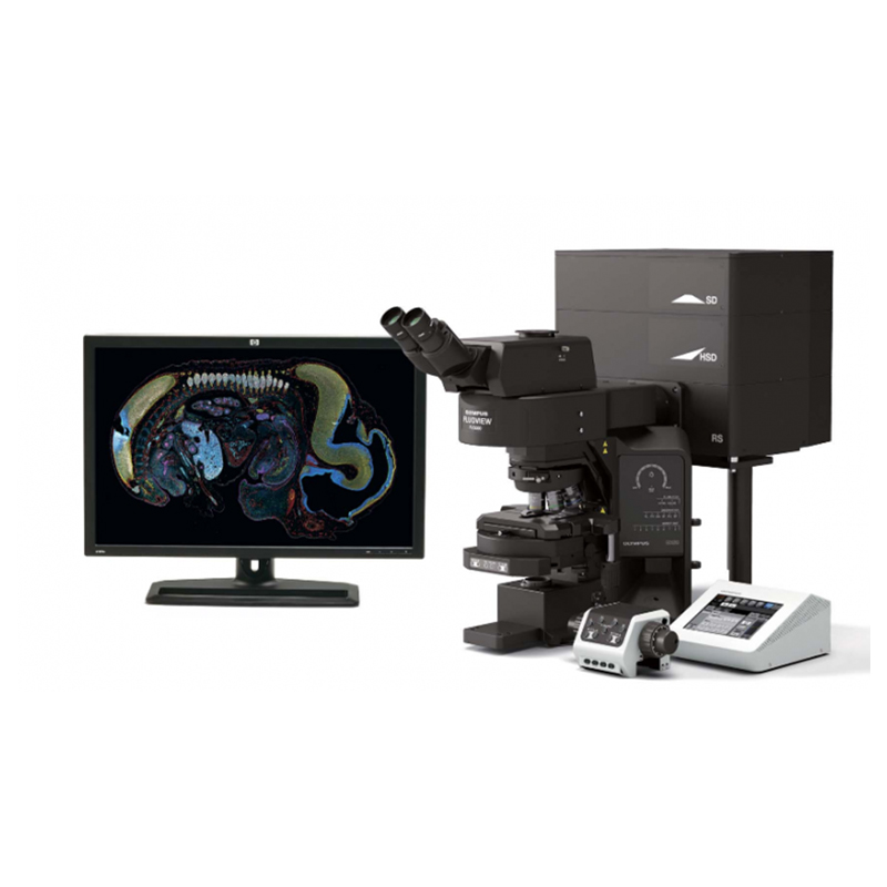 Fluorescence Microscope