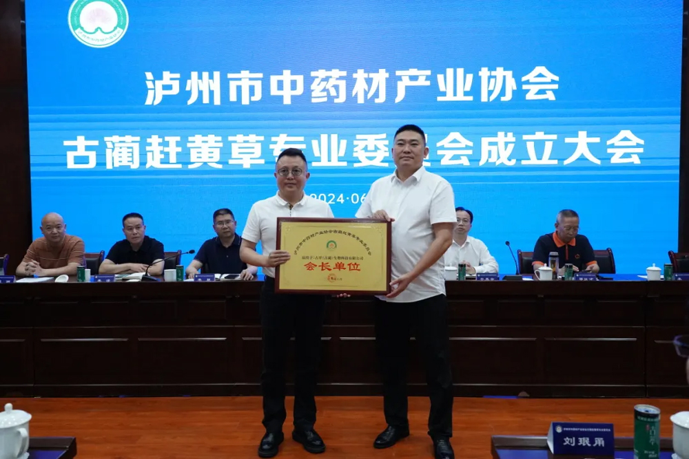 泸州市中药材产业协会古蔺赶黄草专业委员会选举暨成立大会召开，开启产业新篇章