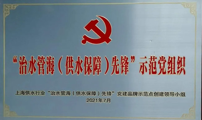 踔厉奋发勇争先，实干担当谱新篇