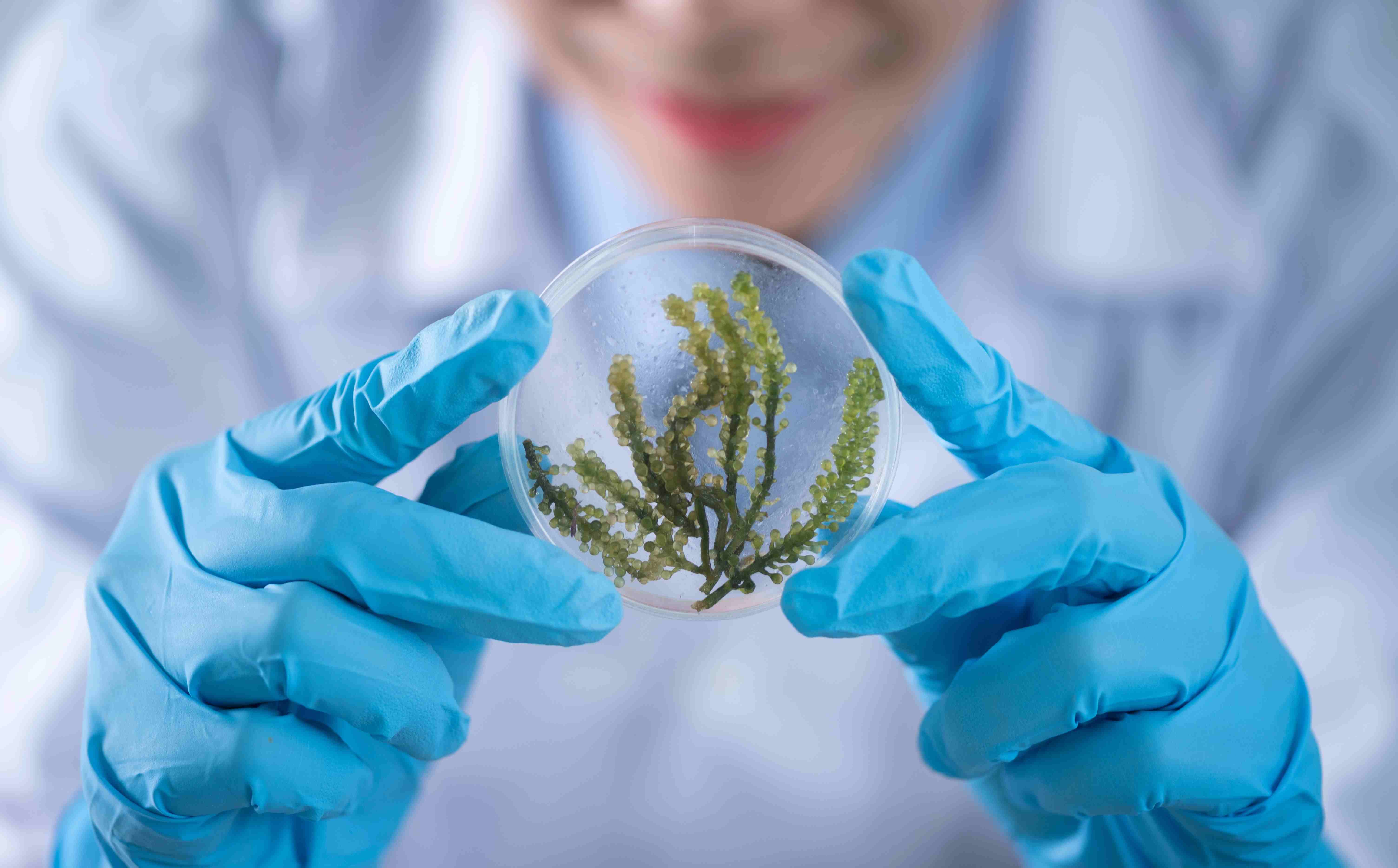 从税法角度看高新企业认定及研发机构设置 | 国瓴律师