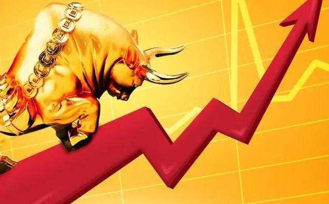 公司决策部门篇之股东（大）会 丨 企业风控