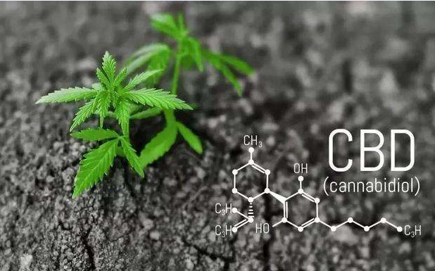 从大麻成分看化妆品原料新趋势 | 国瓴消费品研究