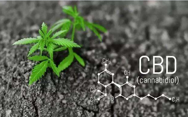 新政下化妆品原料创新将大行其道 | 化妆品法律观察