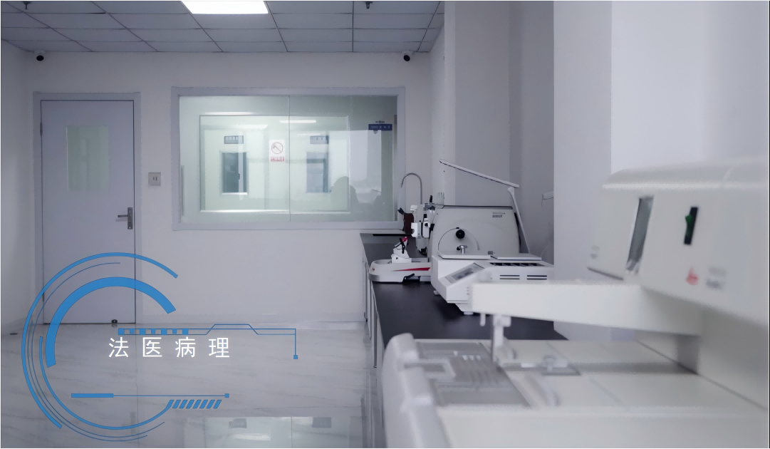 法医病理鉴定