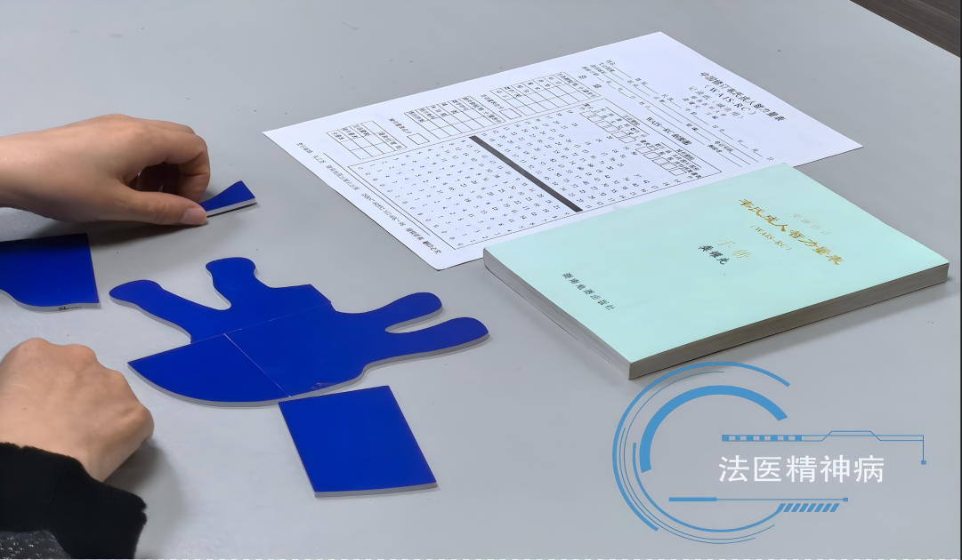 法医精神病鉴定