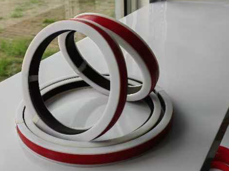 平挡圈复合鼓形活塞密封