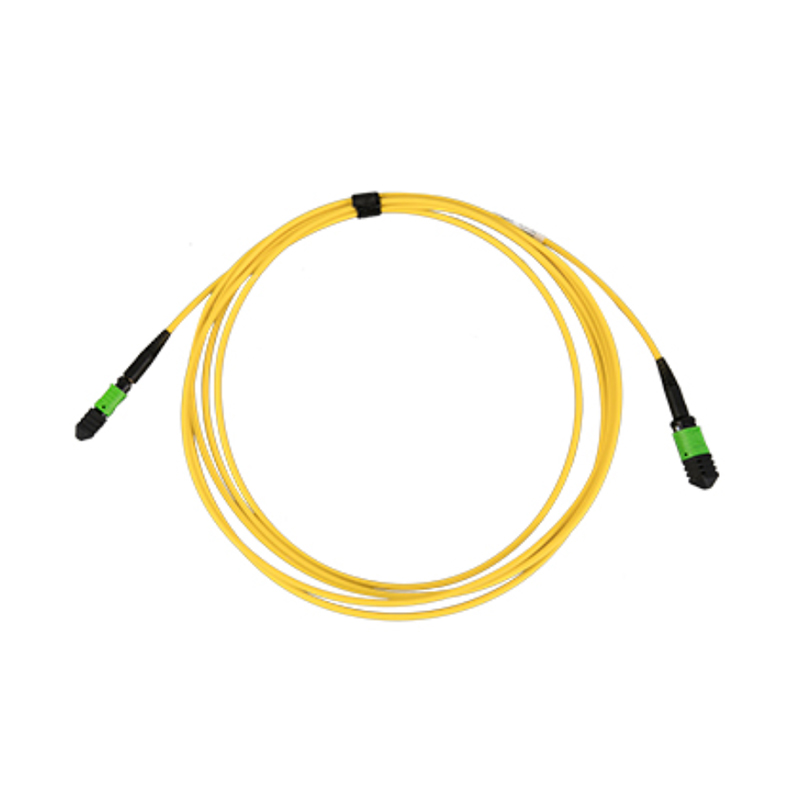 MPO Patch Cords