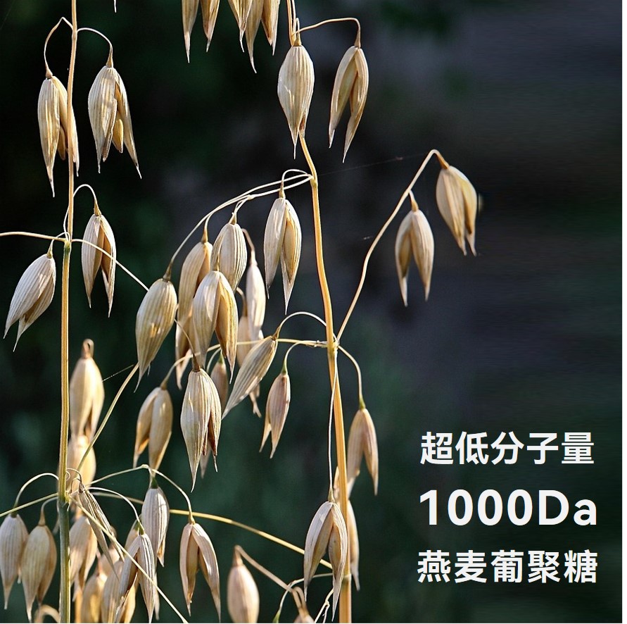 Botaride Oat1000P
