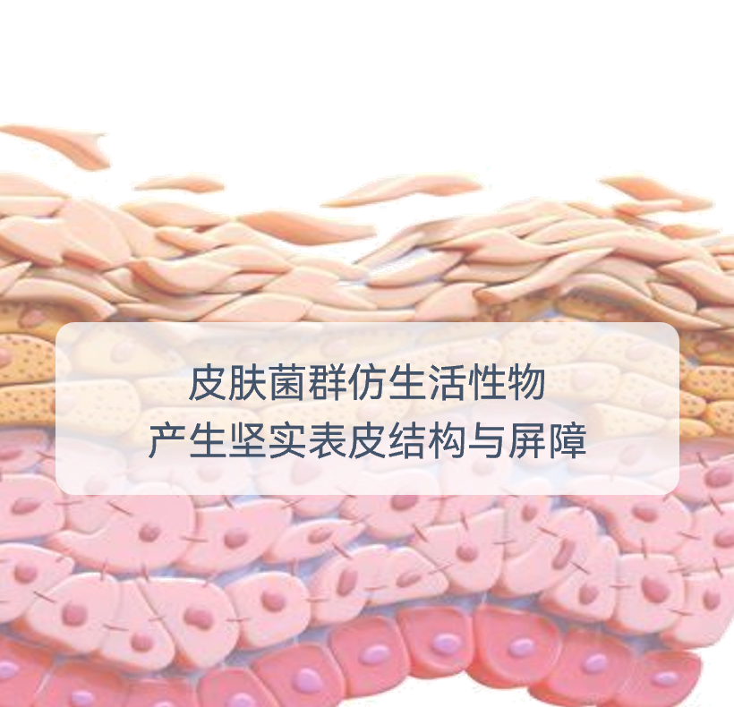MicroBionics 仿生微活素