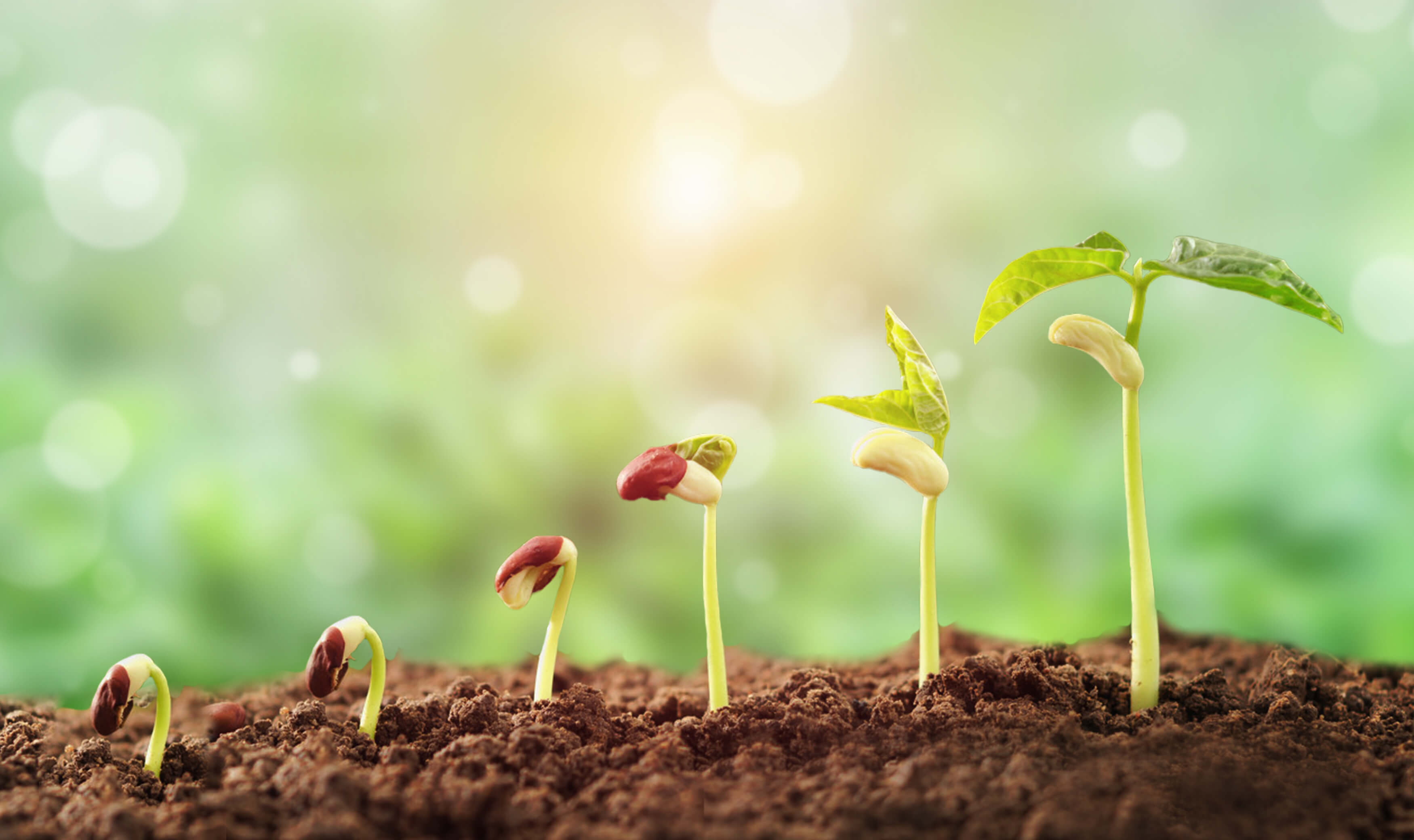 构建敏捷经营体系，让战略落在经营上