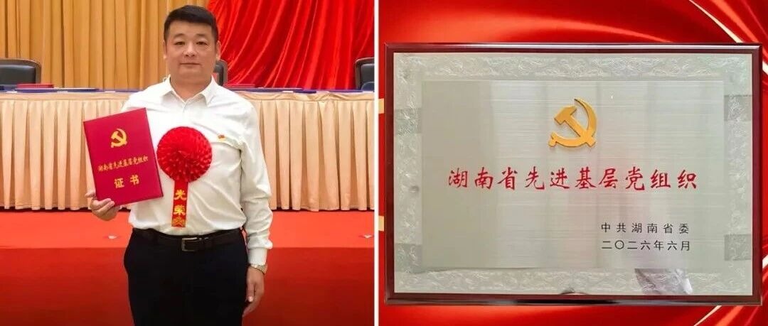 喜报！湖南福德电气有限公司党委荣获“全省先进基层党组织”称号