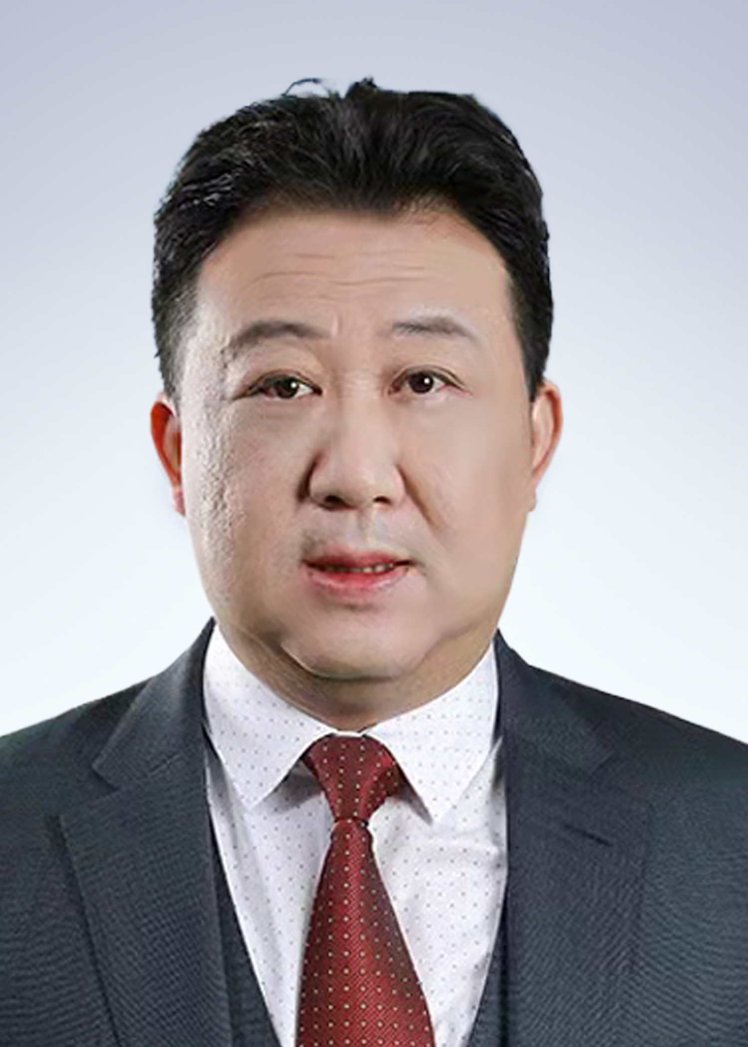 林　欣/副会长
安徽应流机电集团总裁助理、副总裁