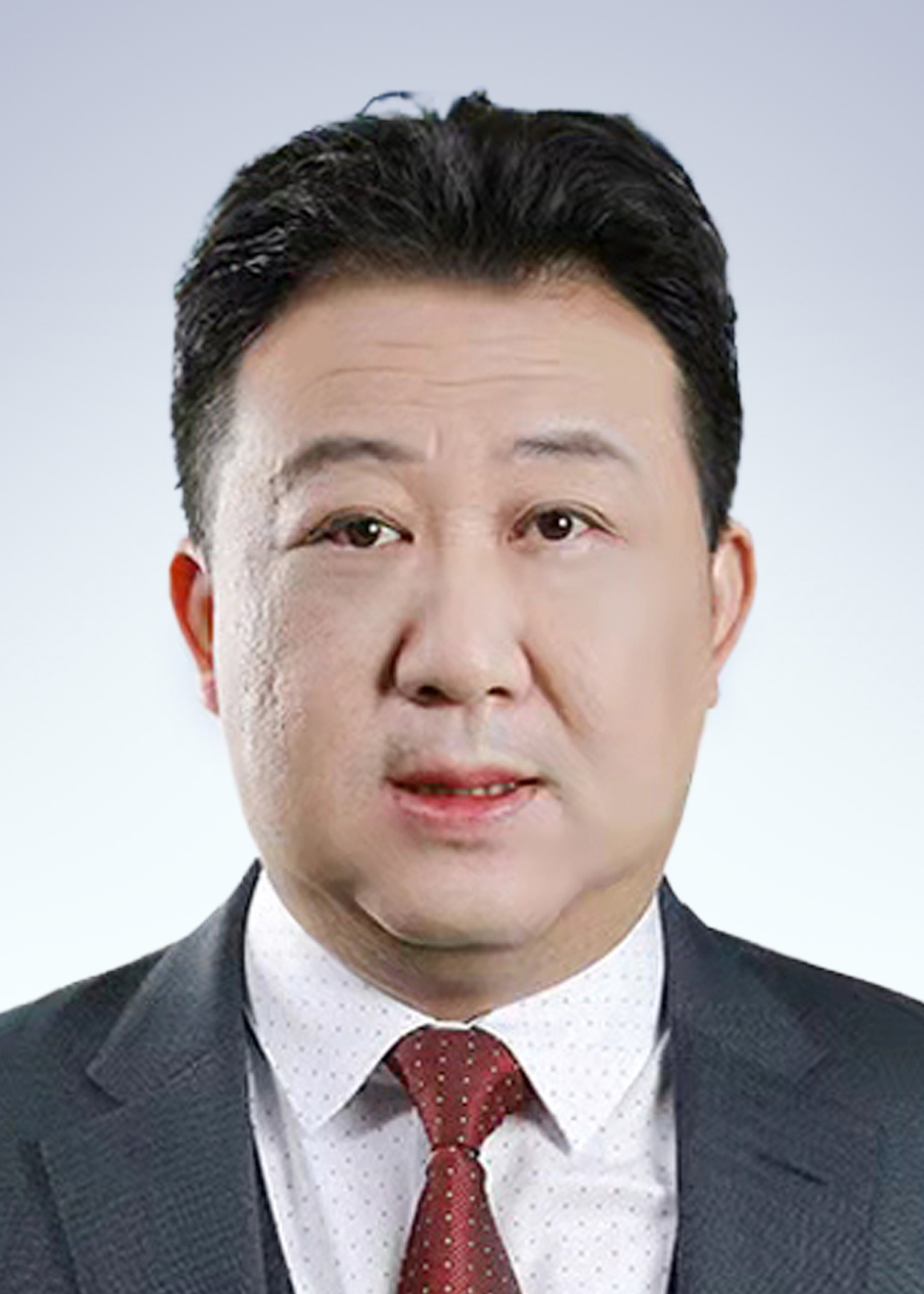 林　欣/副会长
安徽应流集团副总裁