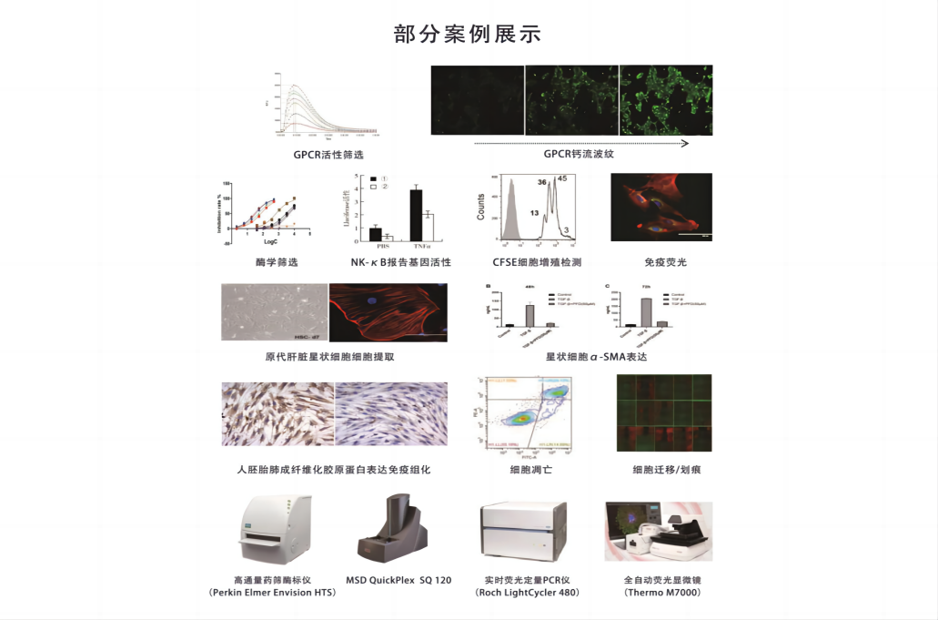 高通量筛选平台