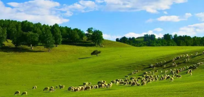 乌兰布统草原行
