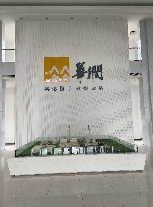 华润电力某公司项目