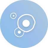 Equipments
 Automated Library Building Workstation