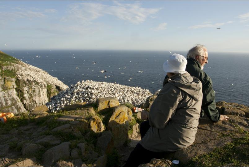 圣玛丽角生态保护区