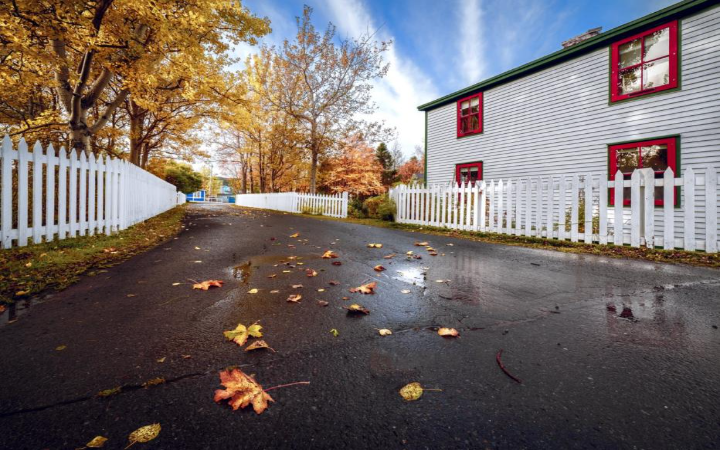 纽芬兰环岛7日全景游