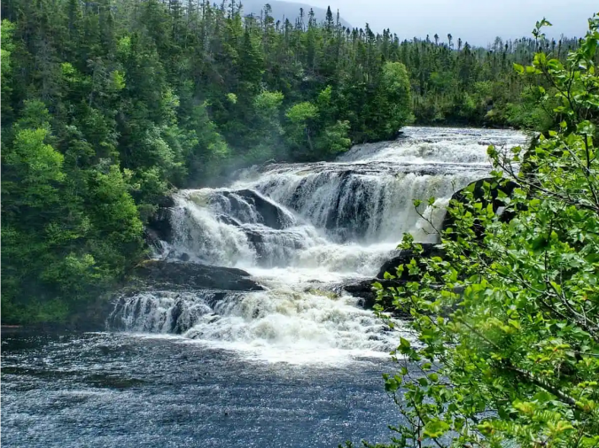 Bakers Brook Fall Trail