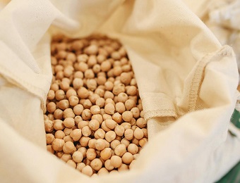 大豆