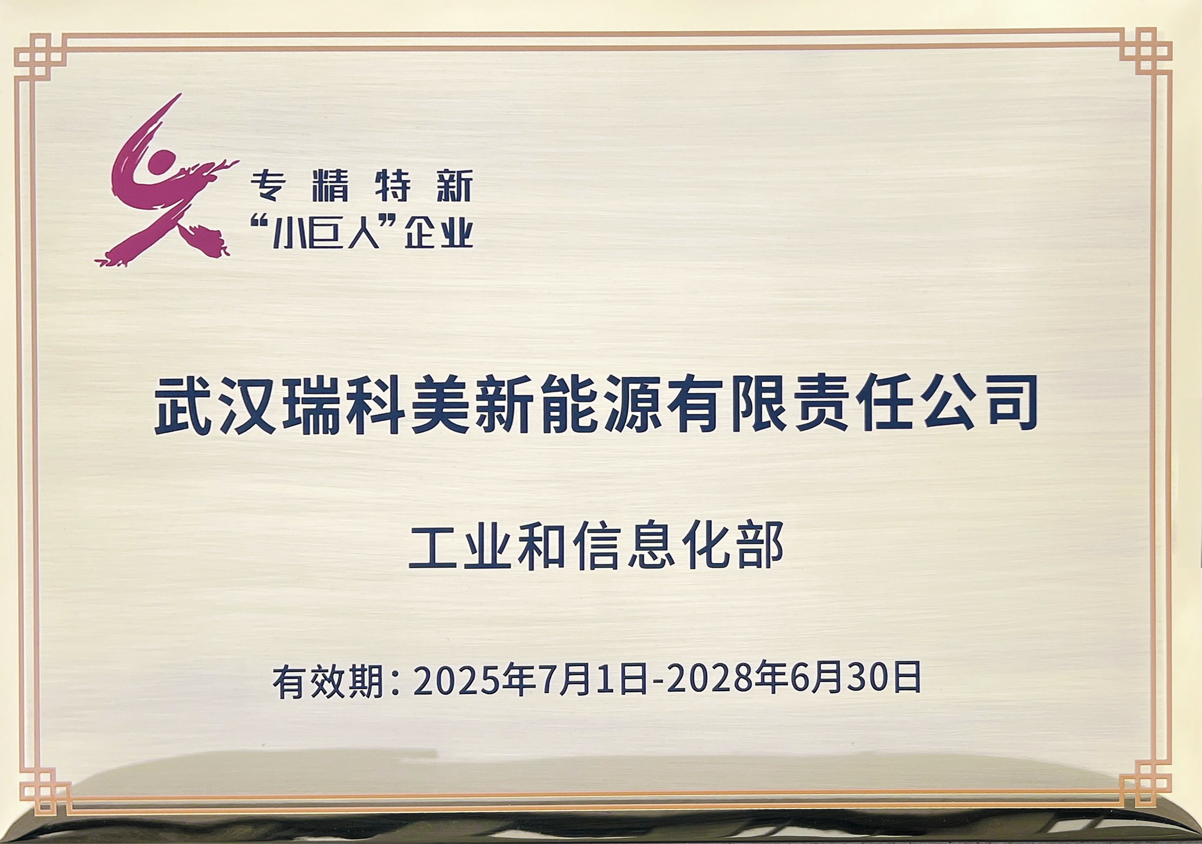 RIKOMAY Awarded the Title of 'Specialized, Sophisticated, Distinctive and Innovative' Little Giant Enterprise