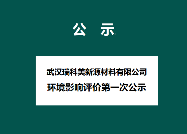 武汉瑞科美新源材料有限公司 环境影响评价第一次公示
