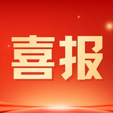 武汉瑞科美荣获2025年“湖北省制造业单项冠军企业”！