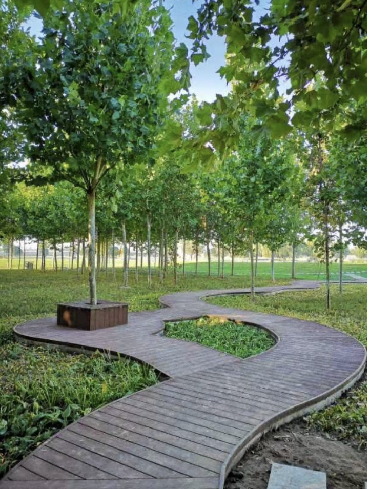 十年铺就绿色未来，矿物钢塑步道见证环保承诺