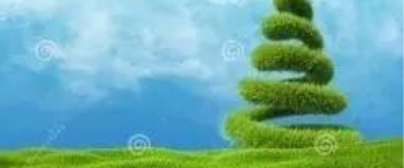 研究用对照药品一次性进口流程图