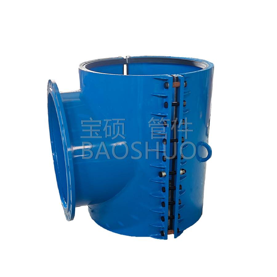 Tee with Flanged branch