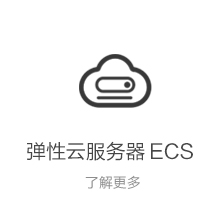弹性云服务器 ECS